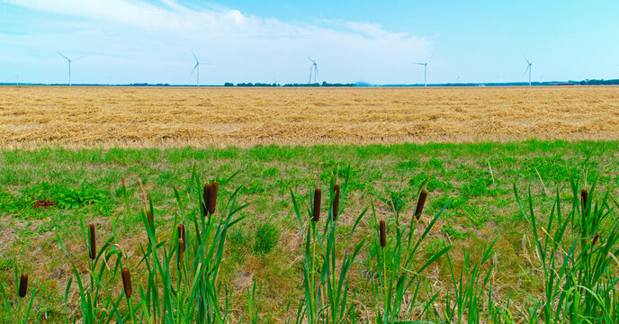 Agricultural fields and impressions in a bright summer day under a blue sky