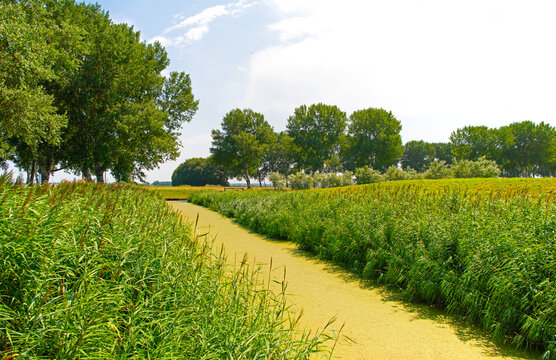Agricultural fields and impressions in a bright summer day under a blue sky