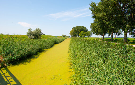 Agricultural fields and impressions in a bright summer day under a blue sky