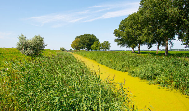 Agricultural fields and impressions in a bright summer day under a blue sky
