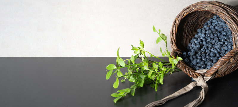 Top view from fresh Vaccinium myrtillus, wild blueberry blueberries and green leaves in a basket on a table