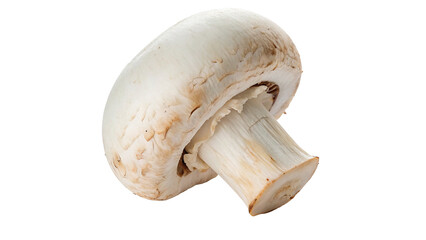 Fresh raw white button mushroom champignon culinary ingredient isolated on transparent background © Pavel