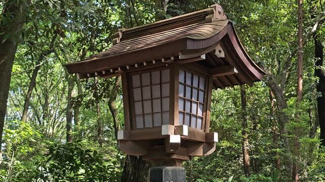 Traditional Japanese wooden lantern in forest at Shinto shrine or temple. Close up footage of historic outdoor lantern surrounded by lush trees and natural woodland in Japan