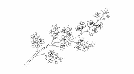 Fototapeta premium Delicate Cherry Blossom Branch Sketch - Black and White Botanical Line Art