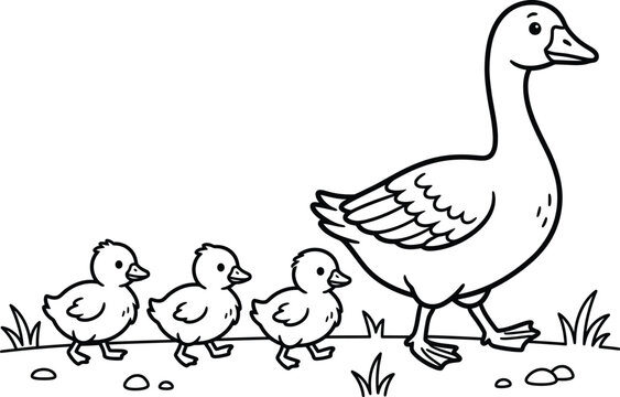 Mother goose and three cute goslings coloring page line art vector illustration