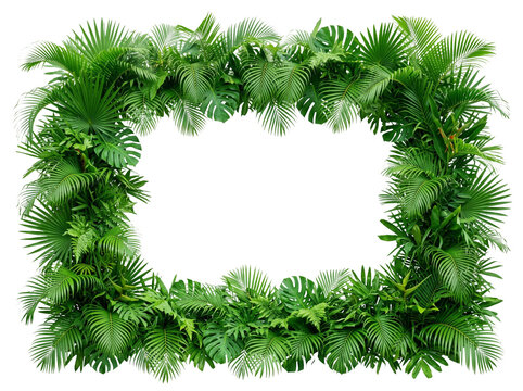 Vibrant rectangular frame made from lush tropical palm leaves and exotic monstera foliage featuring deep green shades with detailed natural textures arranged in a beautiful botanical display on transp