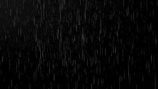 Purple fireworks exploding in rain. Night sky celebration with bright pyrotechnic display.
