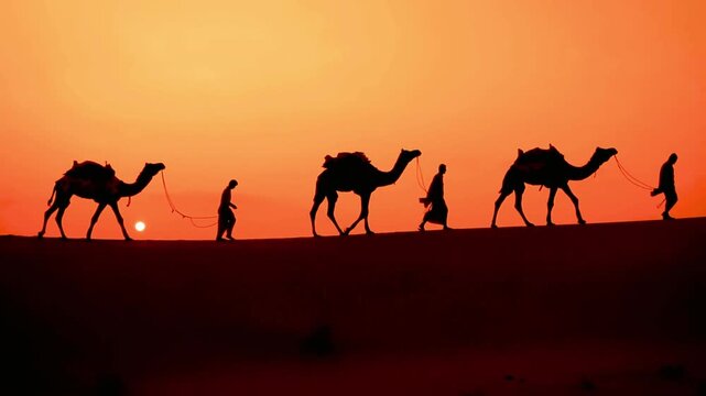 Here are some catchy and professional English titles for your desert camel video