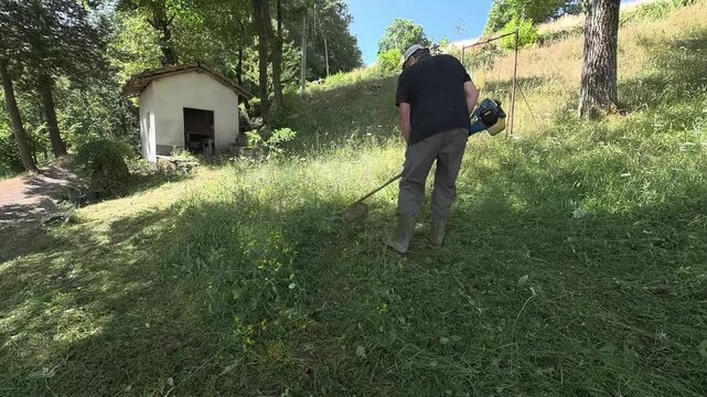 Taglio erba nel prato