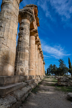 Visit to the temple of Zeus in Cyrene reveals ancient architecture and historical significance in Libya