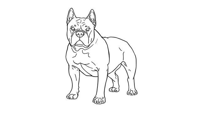 American Bully dog standing in line art illustration. Minimalist canine outline sketch for pet branding and design projects.