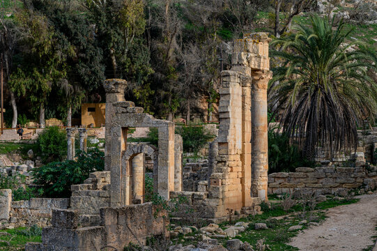 Ruins of Cyrene show ancient columns and palm trees in Libya