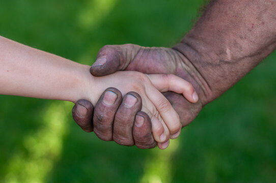 Strong Adult Hand Holding Child's Hand Symbolizing Protection and Strength