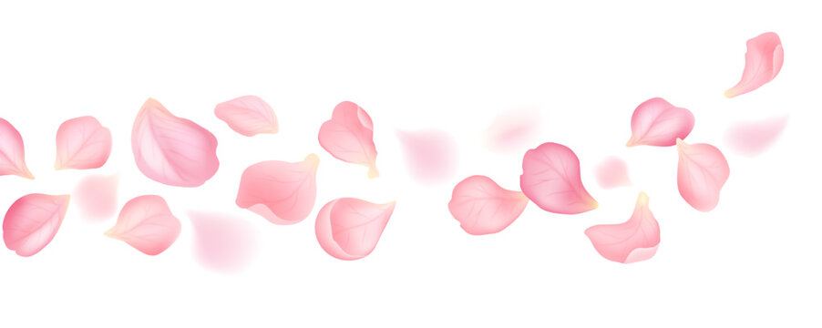 Floating Sakura Petals on Soft Pink Pastel Background Vector