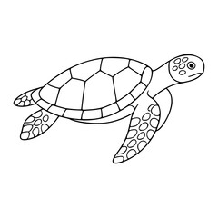 Hand-drawn vector illustration of an elegant sea turtle swimming gracefully in the ocean showcasing detailed shell patterns and flippers in clean minimalist outline style scalable line art icon for © Kamrujjaman
