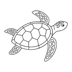Minimalist hand-drawn vector illustration of a graceful sea turtle in dynamic swimming pose with patterned shell and flippers clean outline line art scalable icon design for aquatic nature and ocean © Kamrujjaman