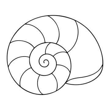 Minimalist hand-drawn vector illustration presenting a detailed spiral seashell with graceful curves and crisp outlines in clean line art style, scalable icon ideal for ocean nature marine creative