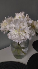 bouquet of peonies © Morozova Viktoriia 