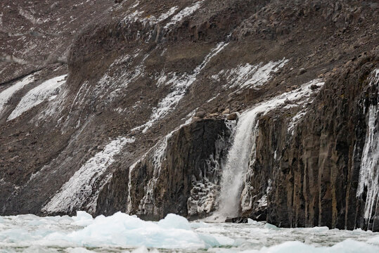 Waterfall flows down rocky slope into icy waters while winter dusting covers cliffs in Greenland
