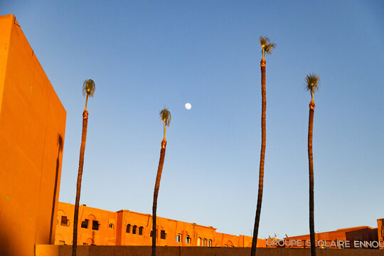 Moon above palm trees and orange buildings in Morocco during twilight hours