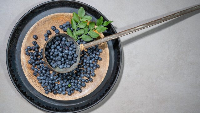 Top view from fresh Vaccinium myrtillus, wild blueberry blueberries and green leaves in a bowl on a concrete table