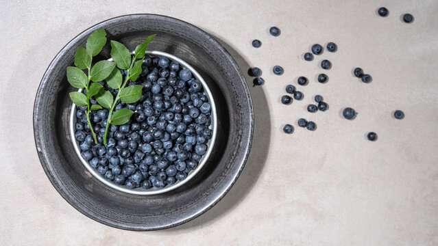 Top view from fresh Vaccinium myrtillus, wild blueberry blueberries and green leaves in a bowl on a concrete table