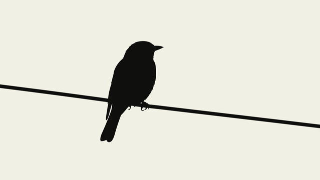 Bird Perched on a Wire Silhouette.