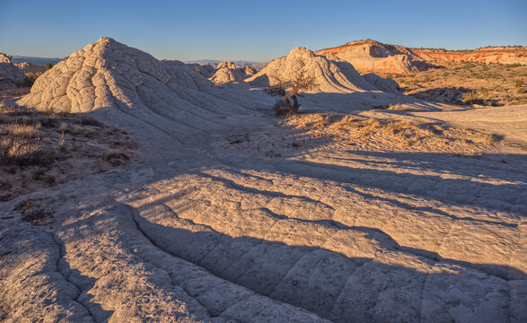 Colorful sandstone forms create striking patterns on the landscape at White Pocket in Vermilion Cliffs National Monument
