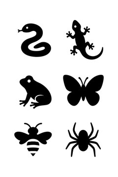 Six Black Silhouettes of Animals Snake, Lizard, Frog, Butterfly, Bee, Spider