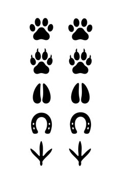 Various Animal Paw and Hoof Prints Collection Isolated on White Background