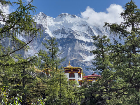 Chonggu Monastery stands among pine trees with snow-capped peaks in the background of Yading Nature Reserve in Sichuan China
