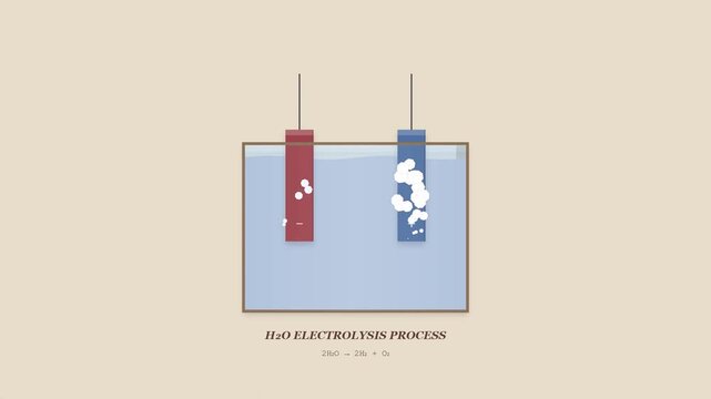 Scientific Animation of Water Electrolysis Process Generating Gas Bubbles