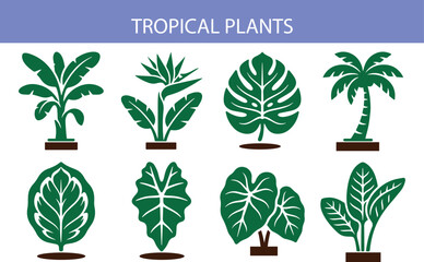 Tropical Plant Filled Pictogram Icon Collection – Premium Botanical Vector Set © WEB2OOL