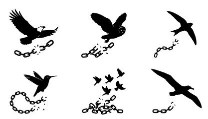 Collection of birds breaking chains and flying free, freedom concept Vector © MSTRANI