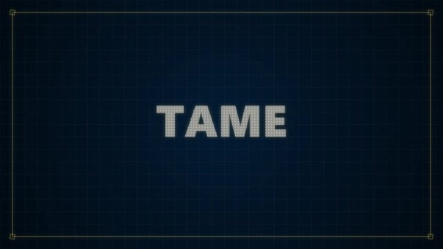 Digital transition from wild to tame text animation on dark grid background