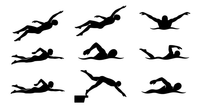 Collection of swimmer silhouettes in various freestyle and butterfly swimming poses Vector