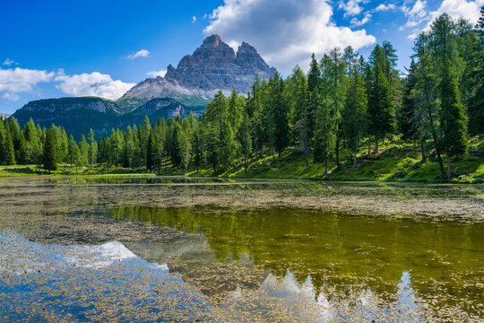 Reflection of Tre Cime di Lavaredo mountains in Lake Antorno, surrounded by trees in Dolomites, Italy
