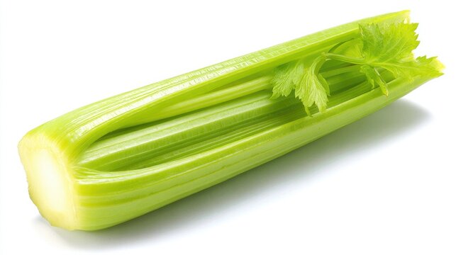 Fresh celery stalk, lengthwise cut, vibrant green