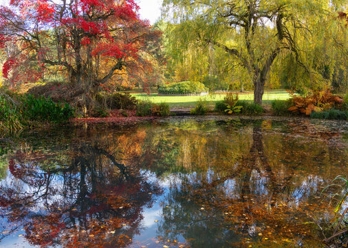 Autumn colors reflect on the water in Isabella Plantation at Richmond Park in London, showcasing nature&rsquo;s changes in fall