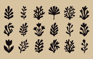 Fototapeta premium Handcrafted botanical nature elements featuring abstract minimal flora silhouettes perfect for contemporary digital illustration, textile decor, and aesthetic graphic design assets