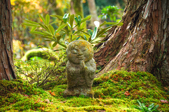 Warabe-jizo statues in a moss garden with gentle light in Ohara, Japan, showing a blend of nature and spirituality