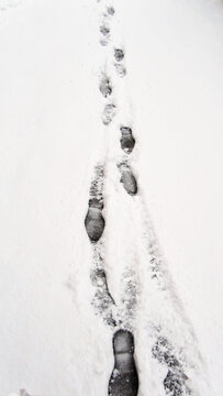 In winter, snowy, icy, and muddy roads and landscapes with tire and footprints.