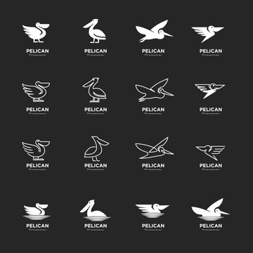Various minimalist pelican bird logos and icons vector collection, ideal for modern brand identity, corporate design, and wildlife themes on a dark background.
