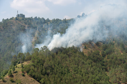 An aerial view shows thick smoke rising from a pine forest fire on a mountainside in Himachal Pradesh.