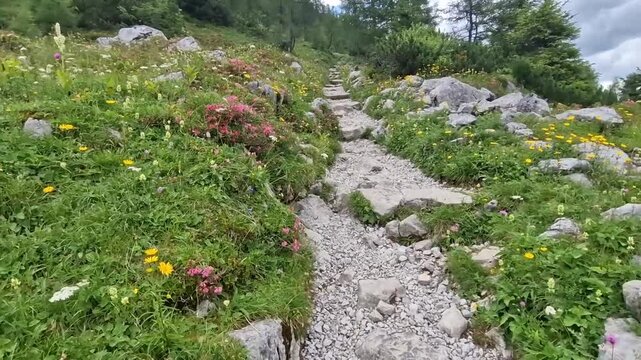 Fossils of prehistoric bivalves their shells in limestone Kuhtritte cow footprints shape strikingly resembles cattles. massive, heart or horseshoe shaped limestone shells embedded Austrian Dachstein r