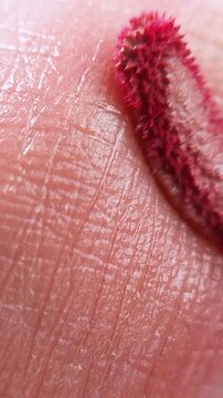 Top close up of pink brush applying lip tint on lip skin surface. Makeup application, soft pigment texture for beauty concept.