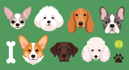 Fototapeta premium Flat vector dog breed icons set, cute pet animal faces collection with corgi and poodle, canine character head illustrations for veterinary branding