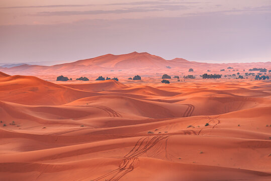 Expansive view across the red-orange dunes of Erg Chebbi at dawn near Merzouga in Morocco reflecting the beauty of nature