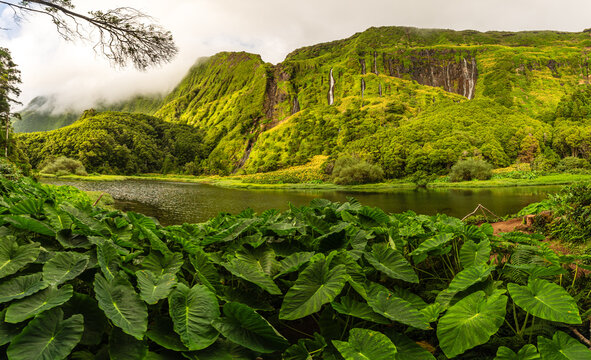 Lagoa das Patas at Poo da Ribeira do Ferreiro offers a view of lush vegetation and waterfalls on Flores Island in the Azores
