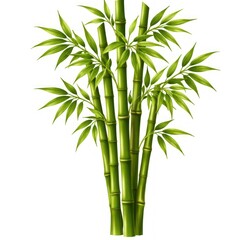 Obraz premium Vibrant bamboo illustration with lush green leaves.